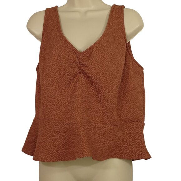 Express Mauve Textured V-Neck Sleeveless Peplum Top Women Size L Zip Closure - Picture 1 of 12